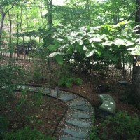 Photo Thumbnail #15: Trail from our backyard to the front driveway...