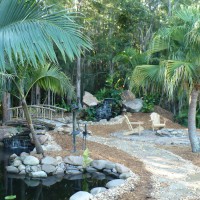 Landscaping Ideas > Water Gardens | YardShare.com