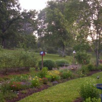 Photo Thumbnail #17: Iris,daylily,rose compion,balloon flower,robin...