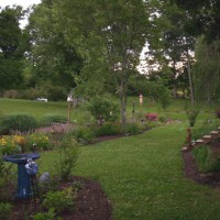 Photo Thumbnail #16: Back yard On left side of  house, it is shaded...