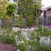 Photo Thumbnail #8: Septic tank is right behind birdhouse pole.I...