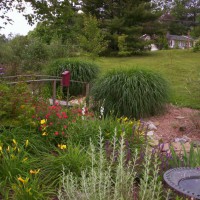 Photo Thumbnail #22: Ditch garden early summer.