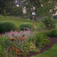 Photo Thumbnail #21: Ditch garden early summer.