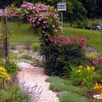 Photo Thumbnail #6: Entrance to back yard from memory garden.