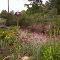 Photo Thumbnail #19: Drain culvert from side road were I started...