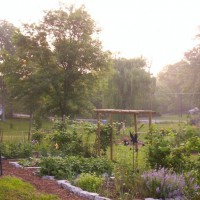 Photo Thumbnail #24: Vegetable & Herb gardens. I got tired of...