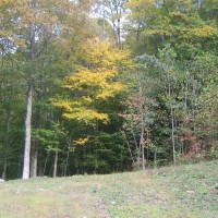 Photo Thumbnail #7