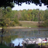 Photo Thumbnail #6: The farm to the left of us. Horses come out...