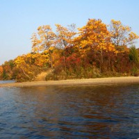 Photo Thumbnail #14: one of three little islands on the lake.