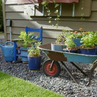 Photo Thumbnail #7: This is my herb area.