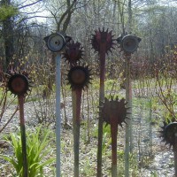 Photo Thumbnail #3: To me, these are seedheads from the alliums....