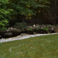 Photo Thumbnail #1: Main pond area before