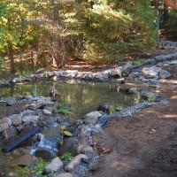 Photo Thumbnail #7: Looking up stream from the wetlands area to the...