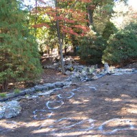 Photo Thumbnail #8: Looking upstream from the main pond. The white...