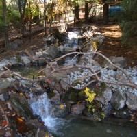 Photo Thumbnail #10: Looking upstream from the 8 x 16 pond to the 6...