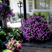 Photo Thumbnail #4: Step up to the overhang