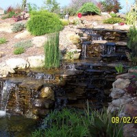 Photo Thumbnail #18