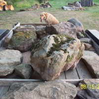 Photo Thumbnail #8: We lost track of how many trips we made to NE...