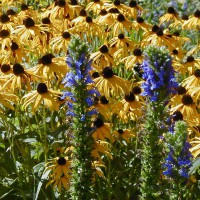 Photo Thumbnail #14
