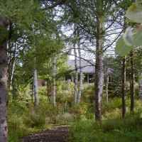 Photo Thumbnail #7: This is a view from the wetland area up to the...