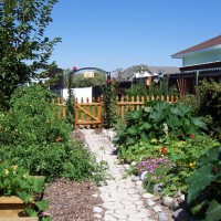 Photo Thumbnail #17: Again raised beds