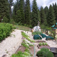 Photo Thumbnail #6: This was all brush before the raised beds