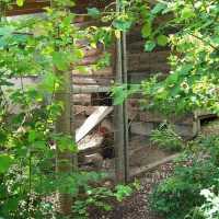 Photo Thumbnail #5: Chicken Coop