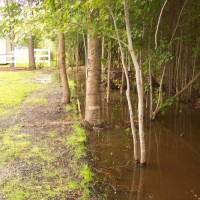 Photo Thumbnail #5: Next project is to keep the 'pond' from coming...
