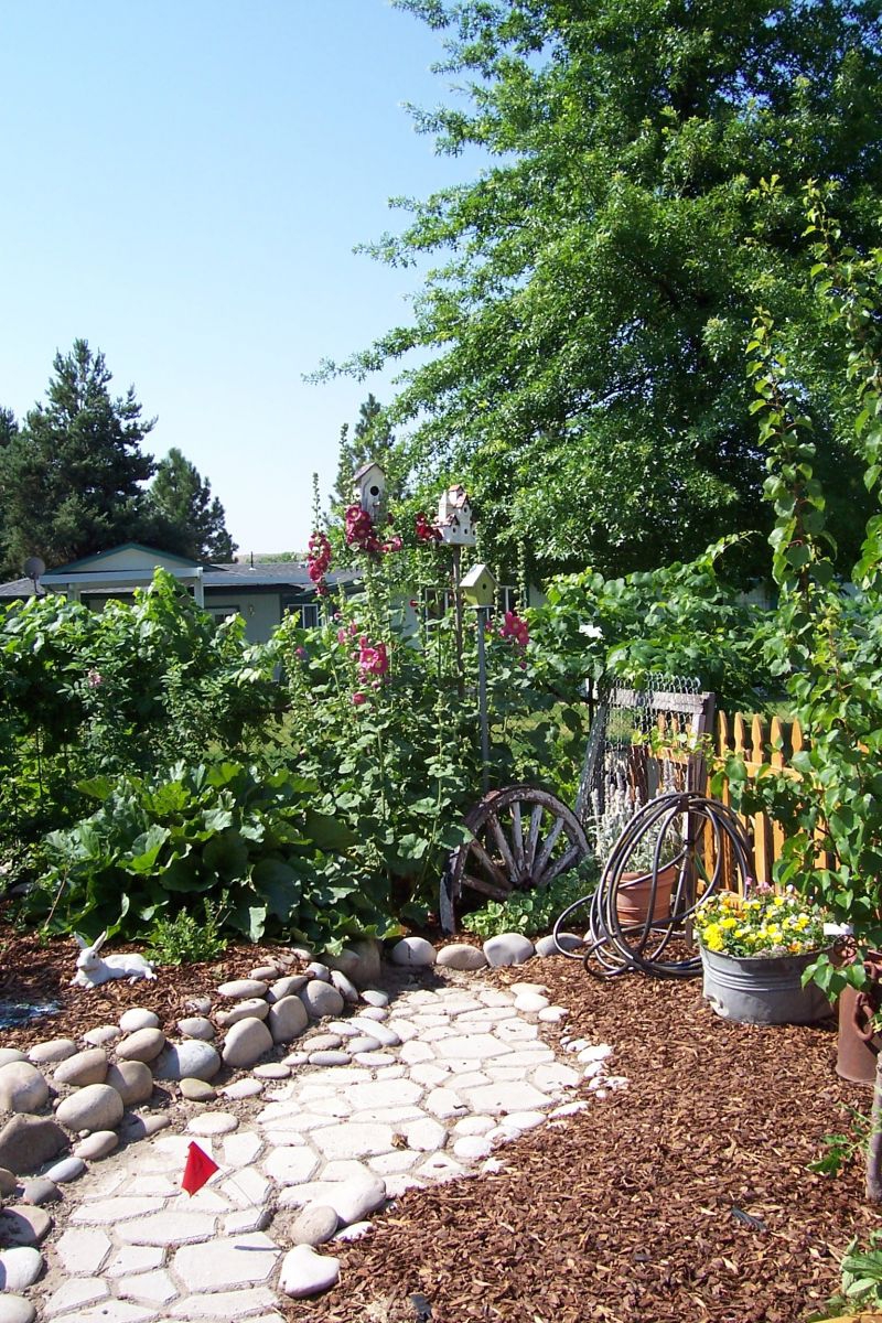 Landscaping Ideas > My new Garden | YardShare.com