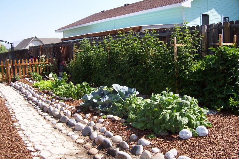 Landscaping Ideas > My new Garden | YardShare.com