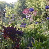 Photo Thumbnail #4: This is one of my favorite views of the garden.