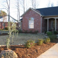 Photo Thumbnail #3: Our new landscaping along our driveway.