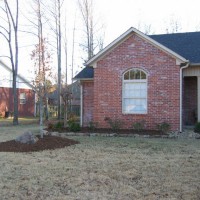 Photo Thumbnail #2: Our new landscaping.
