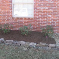 Photo Thumbnail #7: Knockout roses in the front bed.