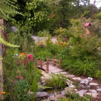 Photo Thumbnail #2: My water flower pond.