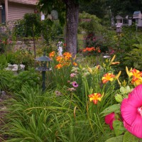 Photo Thumbnail #3: Entering memory garden from the road in front...