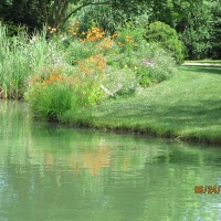 Photo Thumbnail #4: our pond