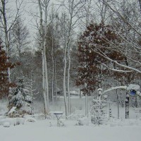 Photo Thumbnail #8: Our view from the kitchen and familyroom.