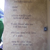 Photo Thumbnail #6: Poem my daughter wrote for me about my garden.