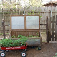 Photo Thumbnail #6: Our cold frame and our side entrance to the...