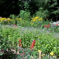 Photo Thumbnail #11: Sunny Garden