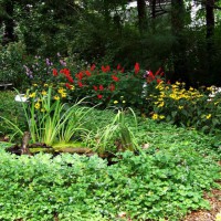 Photo Thumbnail #24: Pond and garden, late summer 2009