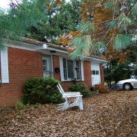 Photo Thumbnail #30: Leaf covered front yard