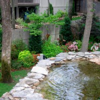 Photo Thumbnail #3: This natural pond was originally put in for the...