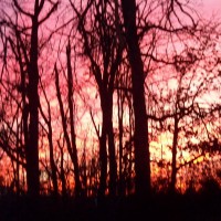 Photo Thumbnail #8: One of the most beautiful sunsets..January 2009