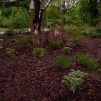 Photo Thumbnail #12: Shade garden on left side of house begins to...