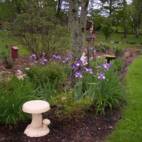 Photo Thumbnail #9: Ditch garden from bridge looking down the ditch.