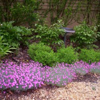 Photo Thumbnail #5: Path to back yard from front memory garden....