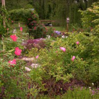 Photo Thumbnail #2: Looking into memory garden from road frontage.