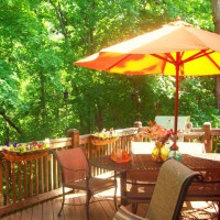 Photo Thumbnail #3: back yard is a canopy of trees